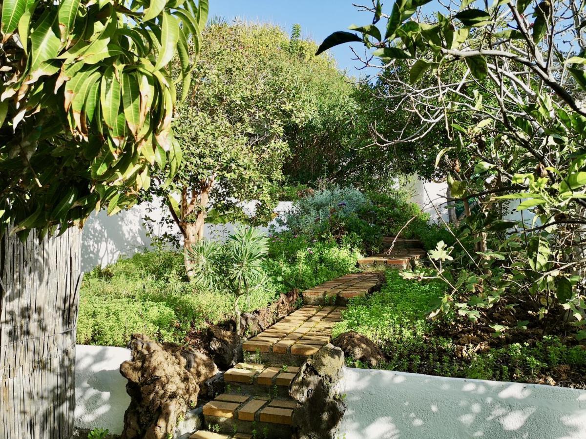 Nanou House Vila La Matanza De Acentejo Exterior foto