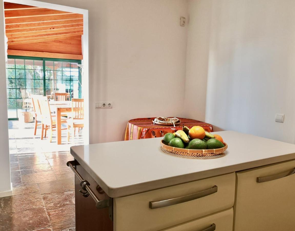 Nanou House Vila La Matanza De Acentejo Exterior foto
